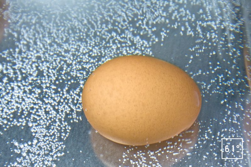 cuire les œufs