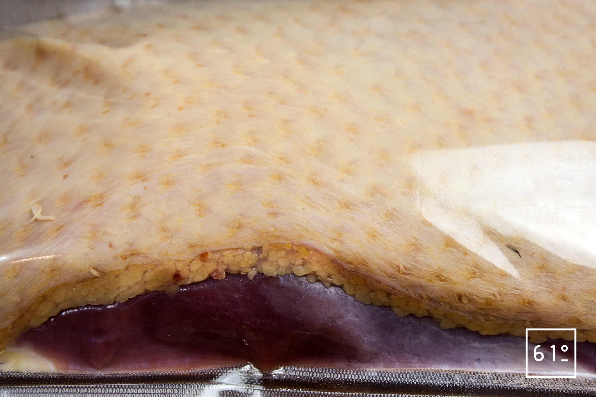 Magret de canard sous vide Recette 61°Degrés — free download