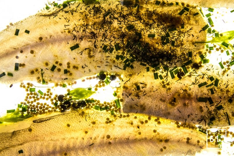 Merlan basse température et son émulsion aux herbes - cuire sous vide à basse température les filets de merlan avec leur peau