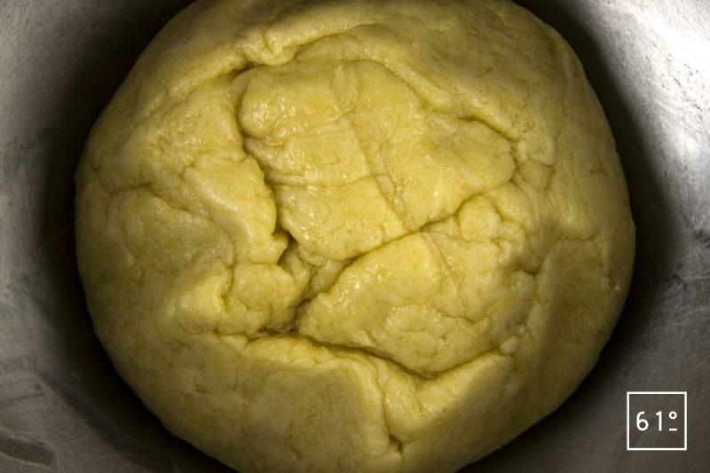 Pâté croûte de canard aux pruneaux et au Rivesaltes - mélanger pour former la pâte