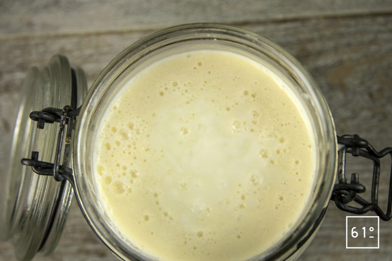 Fromage sec de kéfir typé Gruyère - Préparer le kéfir de lait